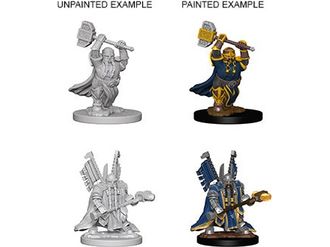 Role Playing Games Wizkids - Dungeons and Dragons -  Nolzurs Marvellous Miniatures - Dwarf Male Paladin - 72630 - Cardboard Memories Inc.