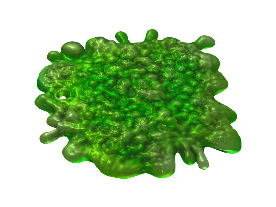 Role Playing Games Wizards of the Coast - Dungeons and Dragons - Icons of the Realms - Adventure in a Box - Wererat Den - Cardboard Memories Inc.