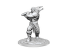 Role Playing Games Wizkids - Dungeons and Dragons -  Nolzurs Marvellous Miniatures - Ogre Female - 90426 - Cardboard Memories Inc.