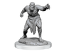Role Playing Games Wizkids - Dungeons and Dragons - Unpainted Miniature - Nolzurs Marvellous Miniatures - Flesh Golems - 90495 - Cardboard Memories Inc.