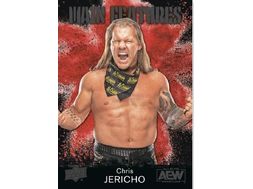 Sports Cards Upper Deck - 2021 - All Elite Wrestling AEW Trading Cards - Hobby Box - Cardboard Memories Inc.
