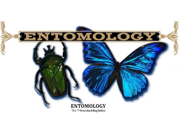 Sports Cards Upper Deck - 2022 - Goodwin Champions - Trading Card Hobby Box - Cardboard Memories Inc.