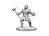Role Playing Games Wizkids - Dungeons and Dragons - Unpainted Miniature - Nolzurs Marvellous Miniatures - Cyclops - 90432 - Cardboard Memories Inc.