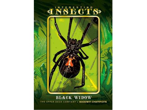 Sports Cards Upper Deck - 2022 - Goodwin Champions - Trading Card Hobby Box - Cardboard Memories Inc.