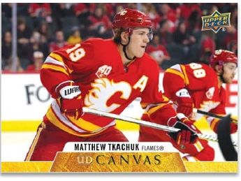 Sports Cards Upper Deck - 2020-21 - Hockey - Series 2 - Fat Pack - Cardboard Memories Inc.