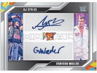 Sports Cards Panini - 2022 - WWE Wrestling - NXT - Hobby Box - Cardboard Memories Inc.