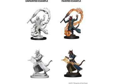 Role Playing Games Wizkids - Dungeons and Dragons - Nolzurs Marvellous Miniatures - Tiefling Male Sorceror - 73201 - Cardboard Memories Inc.
