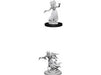 Role Playing Games Wizkids - Dungeons and Dragons - Unpainted Miniature - Nolzurs Marvellous Miniatures - Wraith and Specter - 72570 - Cardboard Memories Inc.