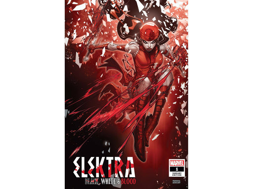 Comic Books Marvel Comics - Elektra Black White and Blood 001 - Jonboy Variant Edition (Cond VF-) - 11148 - Cardboard Memories Inc.